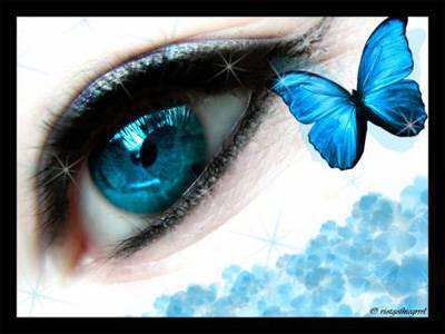 Oeuil bleu-papillon